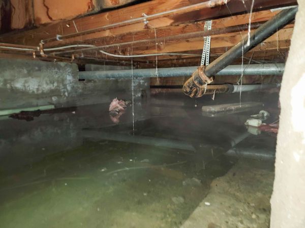 Cost of Crawlspace Drainage in Redmond